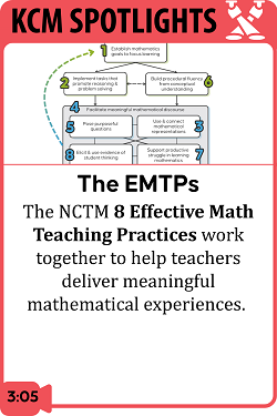 The Effective Mathematics Teaching Practices (EMTPs)