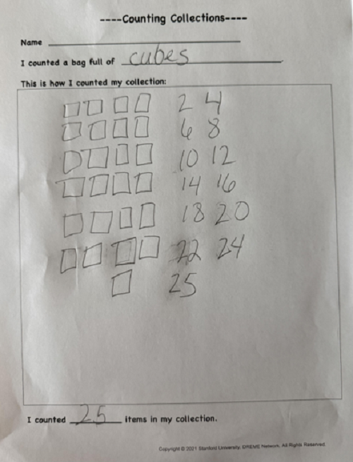 Student printed recording sheet showing 25 squares in 6 rows
of 4 squares and 1 row of 1 square
