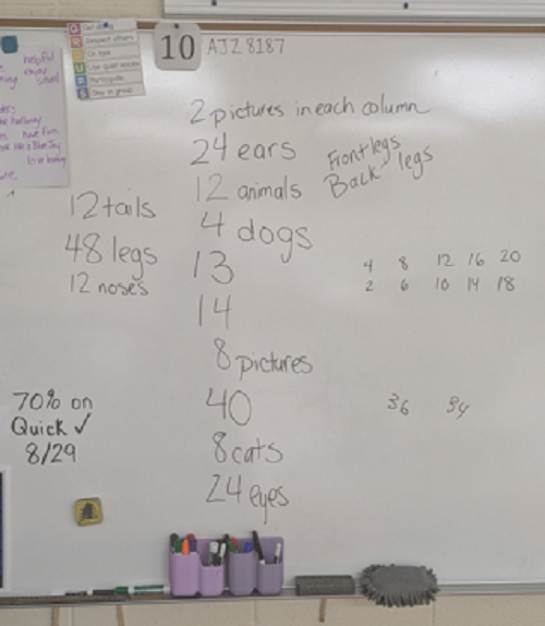 3rd grade classroom with counts of objects in cats and dogs pictures written
on the whiteboard